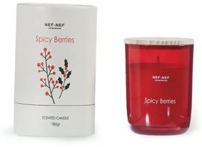 Αρωματικό Κερί Spicy Berries 180gr Red Nef-Nef Γυαλί