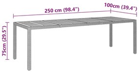 Τραπέζι Κήπου Γκρι 250x100x75 εκ. Συνθετικό Ρατάν/Μασίφ Ακακία - Γκρι