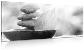 Εικόνα πέτρες Zen και φύλλο σε μπολ σε ασπρόμαυρο