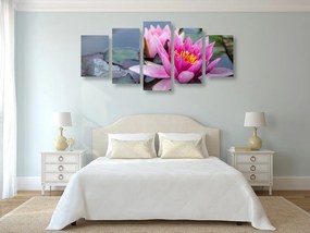 Εικόνα 5 τμημάτων ροζ λουλούδι λωτού - 100x50