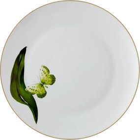 Service Plate Set (6 Pieces) DNR0064 Multicolor