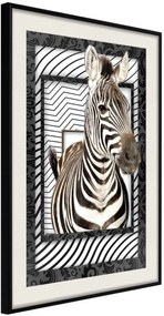 Αφίσα - Zebra in the Frame - 20x30 - Μαύρο - Με πασπαρτού