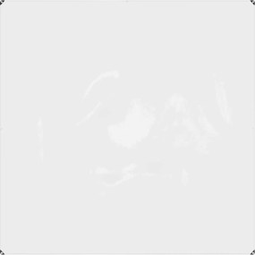 vidaXL Κάλυμμα Φυτών Διαφανές 2 x 2 m PVC