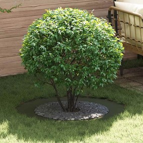 vidaXL Flat Tree Ring 5 τμχ, Ελιά Ø60/90 εκ., Σίδερο