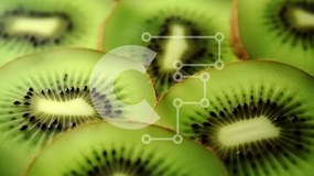 Σετ των 2 Intra Συλλεκτικό Ξύλινο Παζλ Plywood 4mm - Φέτες φρούτων ακτινιδίων σε διάφορα σχήματα Σε Ξύλινο Κουτί - Διαστάσεις: 10x10 cm – 25 κομμάτια