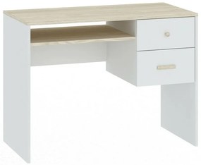 Τραπέζι γραφείου Bristol E106, Με συρτάρια, Αριθμός συρταριών: 2, 76x100x50cm, 27 kg, Ακακία, Άσπρο | Epipla1.gr