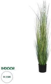 20111 GloboStar® Artificial Garden LAGURUS GRASS 20111 Τεχνητό Διακοσμητικό Φυτό Λαγοουρά Υ150cm