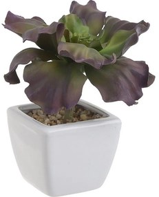 Διακοσμητικό Φυτό Σε Γλάστρα 3-85-084-0043 Green-Purple 7Χ7Χ16 Inart Plastic