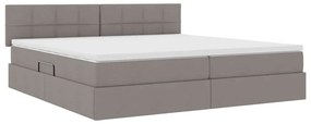 vidaXL Κρεβάτι με αποθηκευτικό χώρο και LED Taupe 200 x 200 cm