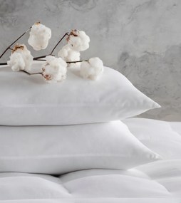 Stewehome Σετ 2 τεμαχίων μαξιλαριών από σιλικόνη nonwoven Λευκό 50x70 cm