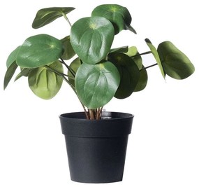 Τεχνητό Φυτό Πεπερόμια Abbreviata 5160-6 22cm Green Supergreens Polyethylene