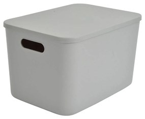 Κουτί Αποθήκευσης (35x25x21.5) L-C Gris 6RAN842GR