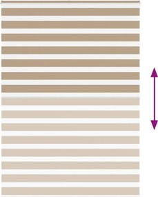 vidaXL Ζέβρα τυφλή 165x200 cm Πλάτος υφάσματος 160,9 εκ. Πολυεστέρας