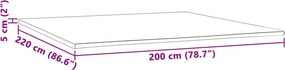 vidaXL Ανώστρωμα 200x220x5 εκ.