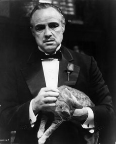 Φωτογραφία Marlon Brando In 'The Godfather', Archive Photos