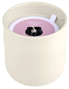 Κερί Αρωματικό 289gr Estia Ginger Lily 04-36508