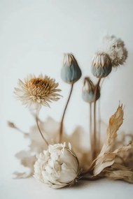 Φωτογραφία Dry Flower Impression, Treechild