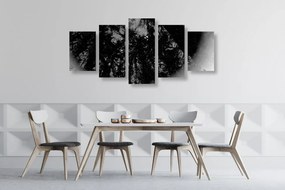 Εικόνα 5 τμημάτων ασπρόμαυρο τροπικό δάσος - 100x50