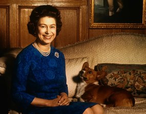 Φωτογραφία Queen Elizabeth II with Corgi, Bettmann