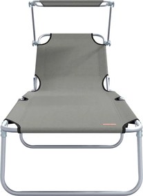 vidaXL Ξαπλώστρα 2 pcs Γκρι 58 x 188 x 77 εκ. Πολυεστέρας