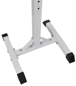 vidaXL Ορθοστάτης Μπάρας/Squat Rack με Σετ Μπάρα και Αλτήρες 30,5 κ.