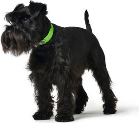 Κολλάρο Σκύλου Hunter Convenience Μέγεθος S Πράσινο (28-36 cm)