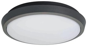 Φωτιστικό Οροφής - Πλαφονιέρα Tibuok 4197600 IP54 D220 Anthracite Viokef Aluminium
