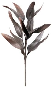 MarHome FOAM ΣΟΚΟΛΑ ΦΥΛΛΟ Y85cm. 12/60ΚΙΒ 00-1543-8