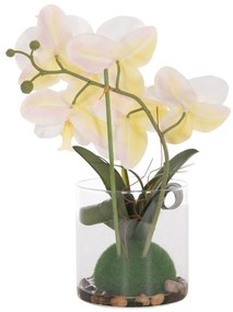 Διακοσμητικό Συνθετικό Φυτό Λουλούδι PHALAENOPSIS C4738 σε Γυάλινο Βάζο 12x24x30Υεκ 12x24x30 εκ.