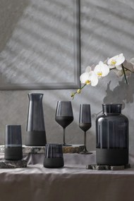 Glass Set (4 Pieces) Matte 420 Black