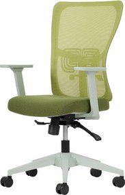 Office Chair Set (2 Pieces) Lumbar 108 - Green Green