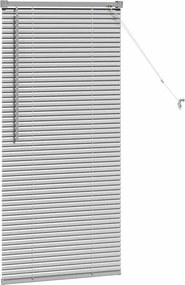 vidaXL Βενετσιάνικες Ρόδες Ασημί 130 x 60 εκ Αλουμίνιο