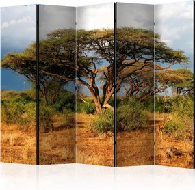 Διαχωριστικό με 5 τμήματα - Samburu National Reserve, Kenya II [Room Dividers]