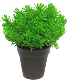 Supergreens Τεχνητό Φυτό Αρωματικό 20 εκ.