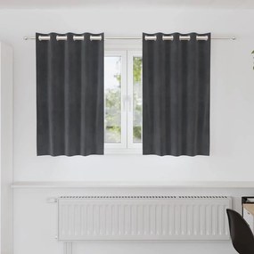 vidaXL Κουρτίνες με κουρτίνες 2 pcs Ανοιχτό γκρι 140 x 140 cm Βελούδο