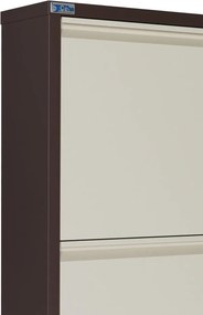 Stewehome Μεταλλική ραφιέρα παπουτσιών 5 τεμαχίων