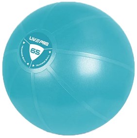 Μπάλα Κινησιοθεραπείας LivePro Core Fit 65cm Β 8201-65