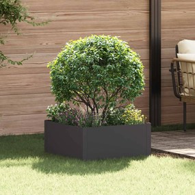 vidaXL Περίγραμμα γκαζόν 60 x 60 x 35 cm Ατσάλι Μαύρο