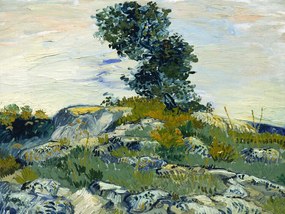 Αναπαραγωγή The Rocks & The Oak, Vincent van Gogh