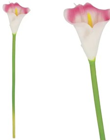 MarHome ΚΛΑΔΙ ΚΑΛΛΑΣ ΡΟΖ REAL TOUCH 12x60cm. 20/432KIB  00-18065-2