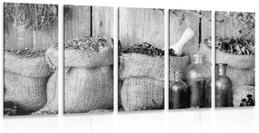 5 μέρη εικόνα φαρμακευτικά βότανα σε ασπρόμαυρο σχέδιο - 100x50