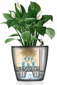 Βάζο Λουλουδιών Lechuza