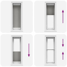 vidaXL Πλισέ περσίδα Ανθρακί 50x100 cm Πλάτος υφάσματος 49,4 cm