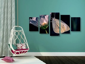 Πεταλούδα εικόνας 5 μερών σε λουλούδι - 100x50