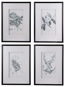 Artekko Botanical Πίνακας με Κορνίζα Πλαστικό Γυαλί Μαύρο Λευκό (50x3x70)cm Σετ/4