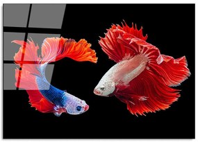 Πίνακας Γυάλινος 123BZM1230 100x70cm Multi Wallity Οριζόντιοι Glass