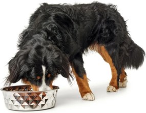 Ταΐστρα σκύλων Hunter Σιλικόνη Ανοξείδωτο ατσάλι 1,75 L