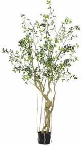 Τεχνητό Δέντρο Φίκος Microcarpa 5770-6 210cm Green Supergreens Πολυαιθυλένιο,Ύφασμα