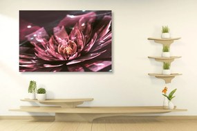 Εικόνα floral ψευδαίσθηση - 120x80