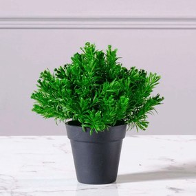 Τεχνητό Φυτό Αρωματικό 8650-6 15x20cm Green Supergreens Πολυέστερ